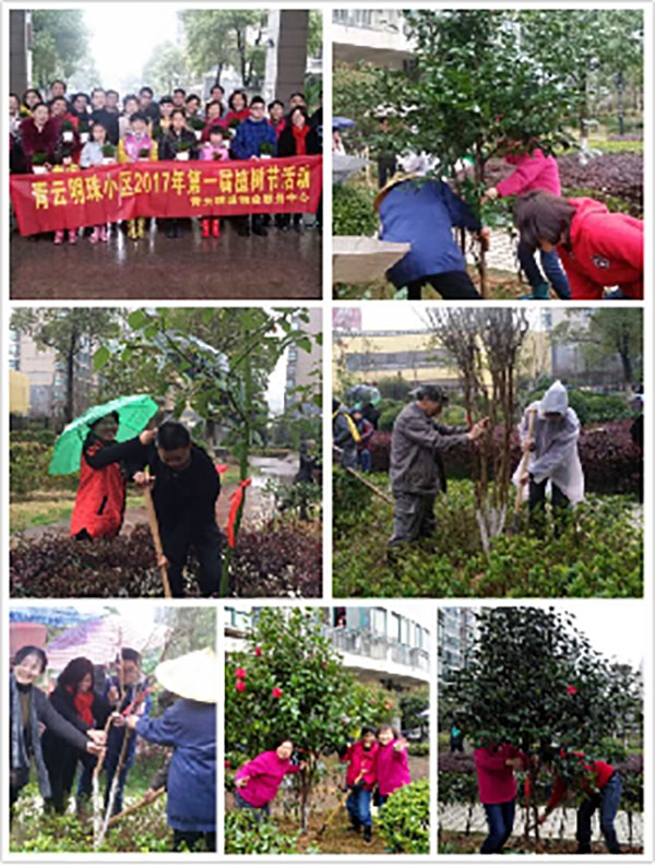 播一片綠林，種一份愛(ài)心